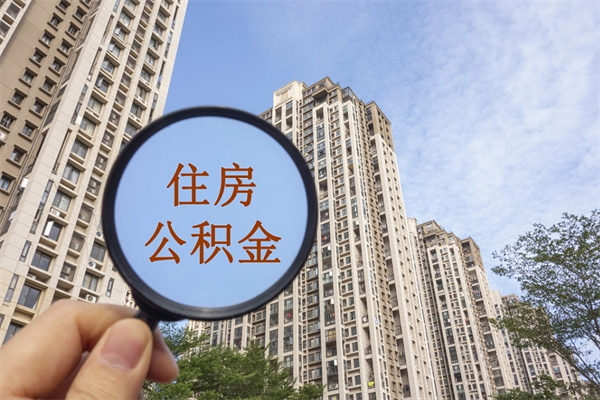 日照怎么取住房住房公积金（取住房公积金方法）